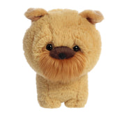 Aurora® - Teddy Pets⢠- 7" Griffon Bruxellois