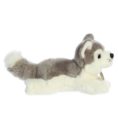 Aurora® - Miyoni® - 8" Husky