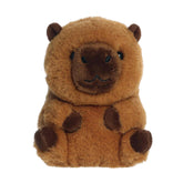 Aurora® - Rolly Pet⢠- 5" Charlie Capybaraâ¢