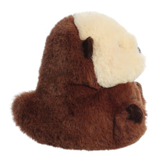 Aurora® - Rolly Pet⢠- 5" Smiles Sea Otterâ¢