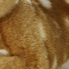Aurora® - Miyoni® - Fawn