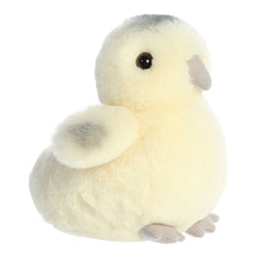 Aurora® - Mini Flopsie⢠- 8" Ameraucana Chick
