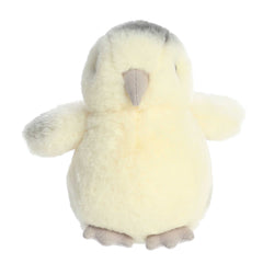 Aurora® - Mini Flopsie⢠- 8" Ameraucana Chick
