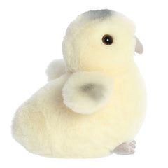 Aurora® - Mini Flopsie⢠- 8" Ameraucana Chick