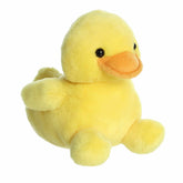 Aurora® - Palm Pals⢠- 5" Tubby Rubber Duckyâ¢