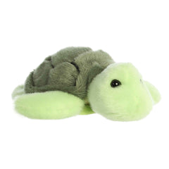 Aurora® - Shoulderkins⢠- 5.5" Saavy Sea Turtleâ¢