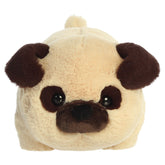 Aurora® - Spudsters⢠- 10" Frankie Pugâ¢