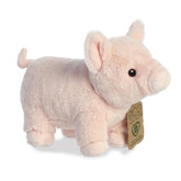 Aurora® - Eco Nation⢠- 9.5" Pig