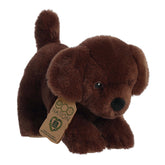 Aurora® - Eco Nation⢠- 8.5" Chocolate Lab