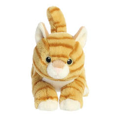 Aurora® - Eco Nation⢠- 8.5" Orange Tabby