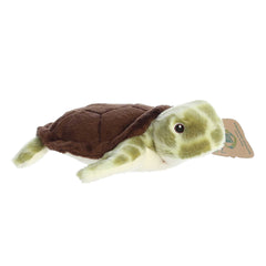 Aurora® - Eco Nation⢠- Eco Softies⢠- 8" Sea Turtle