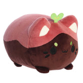 Aurora® - Tasty Peach® - 7" Seedling Meowchi
