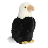 Aurora® - 13" Eagle