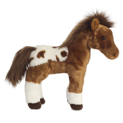 AuroraÂ® - Western - 12" Dakota