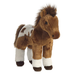 AuroraÂ® - Western - 12" Dakota