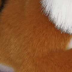 AuroraÂ® - MiyoniÂ® - Bengal Tiger
