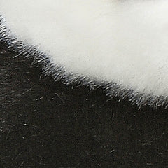 AuroraÂ® - MiyoniÂ® - Panda