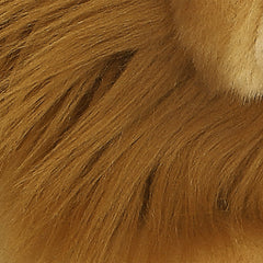 AuroraÂ® - MiyoniÂ® - Lion