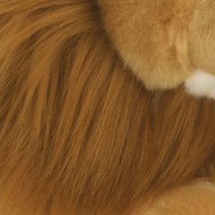AuroraÂ® - MiyoniÂ® - Lion