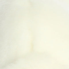 AuroraÂ® - MiyoniÂ® - American White Rabbit