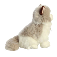 AuroraÂ® - MiyoniÂ® - 9" Ragdoll Cat