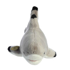 AuroraÂ® - MiyoniÂ® - 12.5" Blacktip Shark