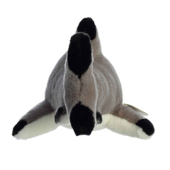 AuroraÂ® - MiyoniÂ® - 12.5" Blacktip Shark