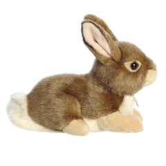 AuroraÂ® - MiyoniÂ® - 11" Eastern Cottontail Rabbit