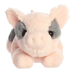 AuroraÂ® - Flopsieâ¢ - 12" Tidbit Mini Pigâ¢