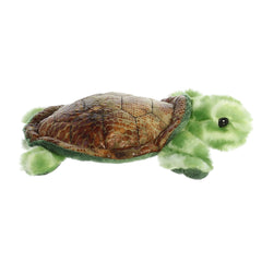 AuroraÂ® - Mini Flopsieâ¢ - 8" Splish Sea Turtleâ¢