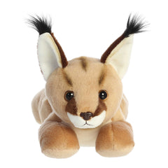 AuroraÂ® - Flopsieâ¢ - 12" Caracal