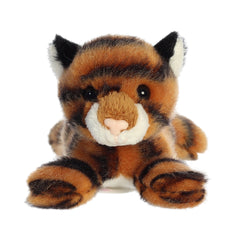 AuroraÂ® - Shoulderkinsâ¢ - 6" Taylor Tigerâ¢