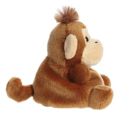 AuroraÂ® - Palm Palsâ¢ - 5" Boomer Monkeyâ¢