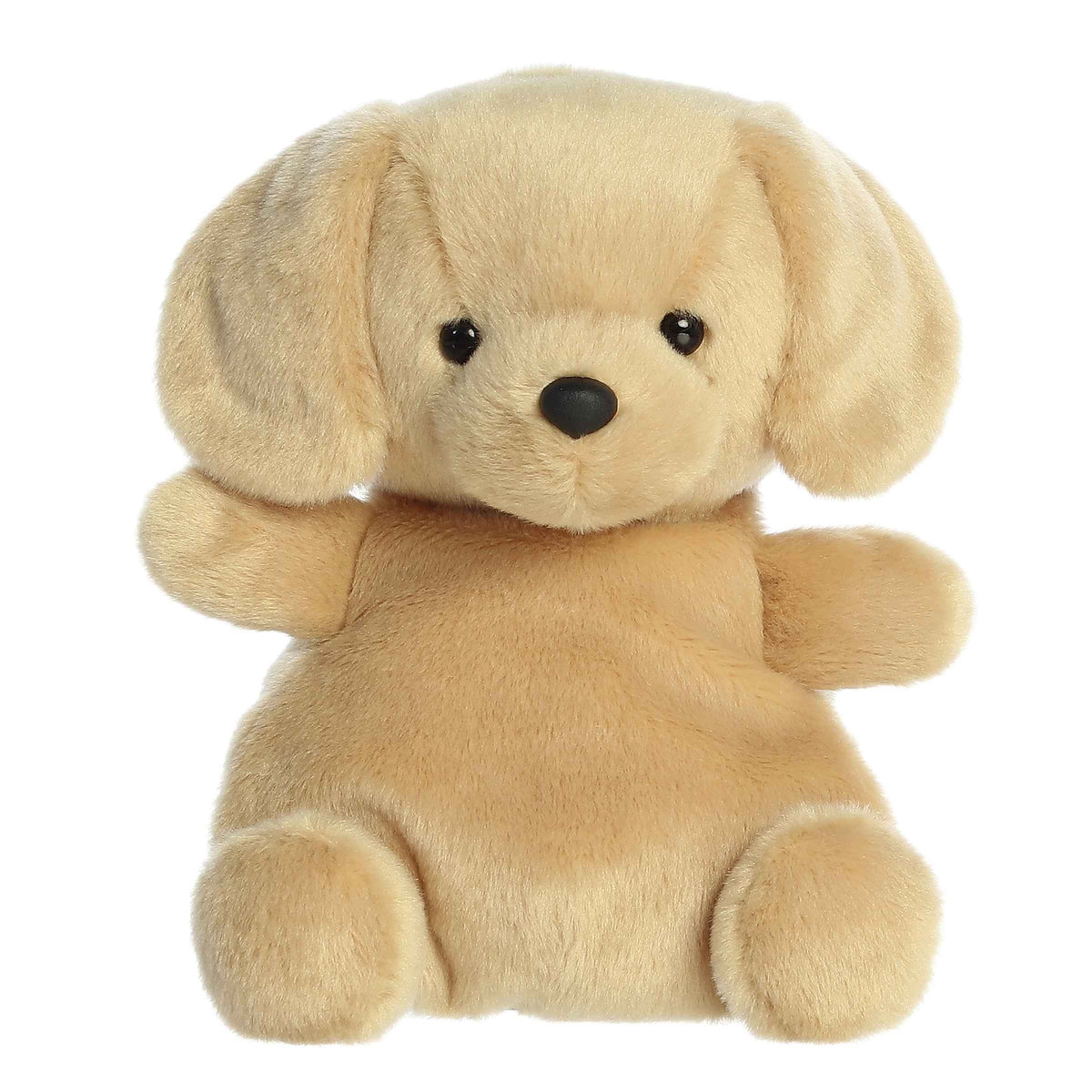 AuroraÂ® - Palm Palsâ¢ - Party Sizedâ¢ - 8" Sunny Labâ¢