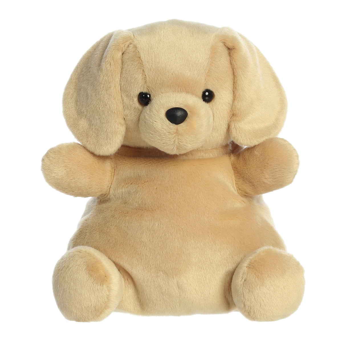 AuroraÂ® - Palm Palsâ¢ - Party Sizedâ¢ - 13" Sunny Labâ¢