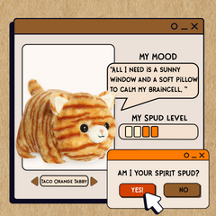 AuroraÂ® - Spudstersâ¢ - 10" Taco Orange Tabbyâ¢