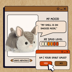 AuroraÂ® - Spudstersâ¢ - 10" Arnie Armadilloâ¢