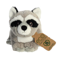 AuroraÂ® - Eco Nationâ¢ - 9.5" Raccoon