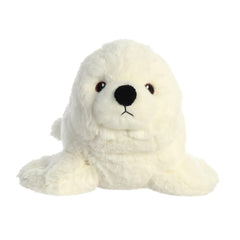 AuroraÂ® - Eco Nationâ¢ - 12" Seal