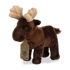 AuroraÂ® - Eco Nationâ¢ - 10" Moose