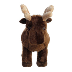 AuroraÂ® - Eco Nationâ¢ - 10" Moose