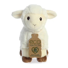 AuroraÂ® - Eco Nationâ¢ - 8" Lamb