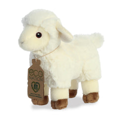 AuroraÂ® - Eco Nationâ¢ - 8" Lamb