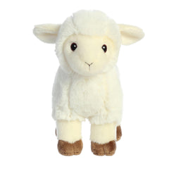 AuroraÂ® - Eco Nationâ¢ - 8" Lamb