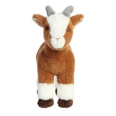 AuroraÂ® - Eco Nationâ¢ - 10.5" Goat
