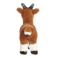 AuroraÂ® - Eco Nationâ¢ - 10.5" Goat
