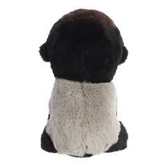 AuroraÂ® - Eco Nationâ¢ - 5" Gorilla