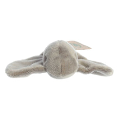 AuroraÂ® - Eco Nationâ¢ - Eco Softiesâ¢ - 8" Stingray