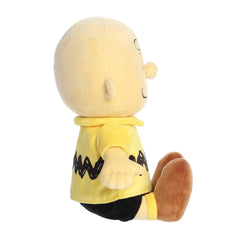 AuroraÂ® - PeanutsÂ® - 13" Charlie Brown