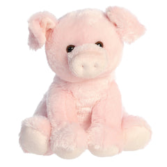 AuroraÂ® - 14" Pig